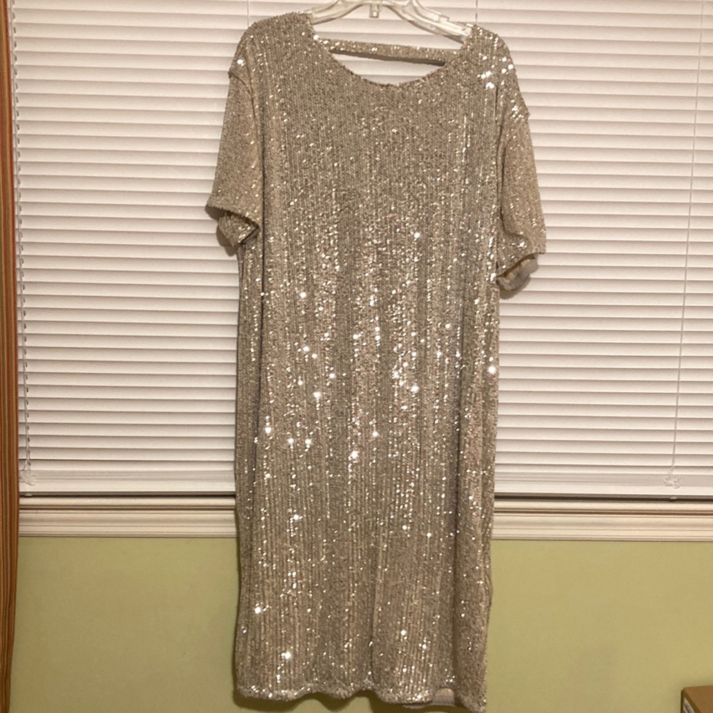 Pewter/silver sequened size 14 dress